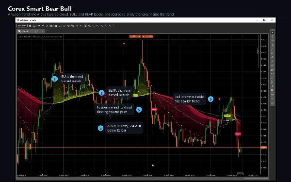 Trading product for Corex Smart Bear Bull Indicator Key Levels RSI, image 9
