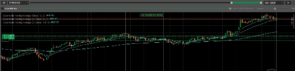 "GOLDEN TURTLE v3.0" uploaded image