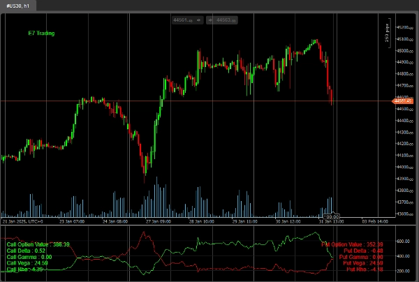 「E7 BlackScholes Model」アップロード画像