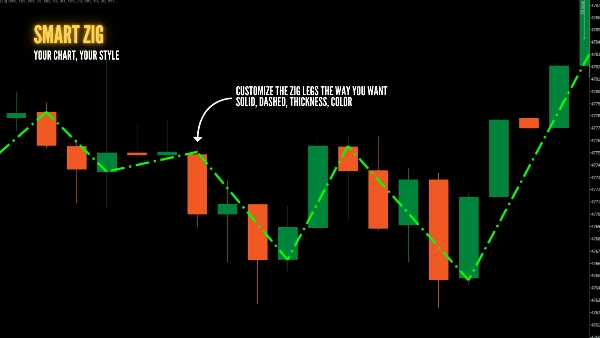 "SmartZig" uploaded image