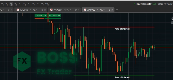 Imagen cargada de "Area of Interest"
