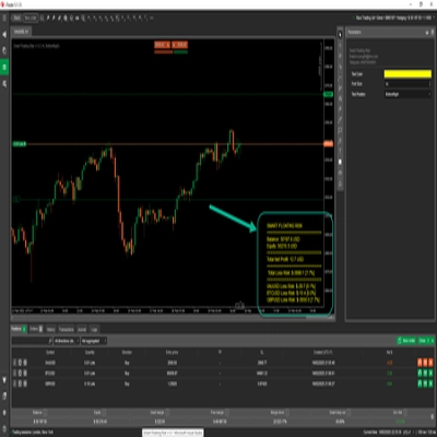 "Smart Floating Risk - Premium version" logo