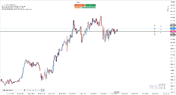 صورة "PullbackEntryFree" المحملة