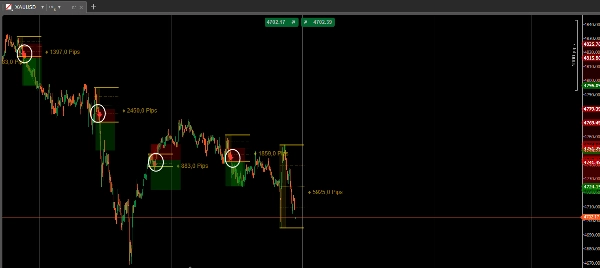 「GOLDPREMIUN」アップロード画像