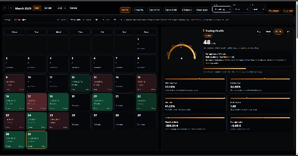 "PP. PnL Journal Analytics Dashboard" 已上传图片