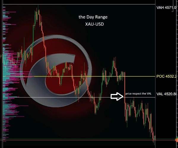 Imagen cargada de "TradingV Fixed Range Volume Profile"