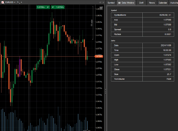Imagen cargada de "DataWindow"