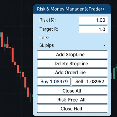 "ms_RiskManeger_English_V" logo