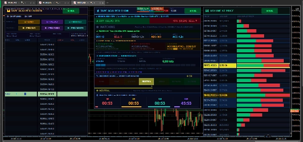 Trading product for Tape Reading 4.2 Индикатор Key Levels Volume, image 3