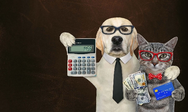 Przesłany obraz „ForexAlgosBlackBox_noSourceCode”