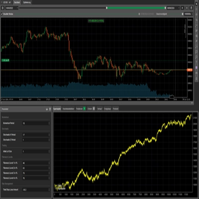 「RT V100 2.7 Lizens ende」ロゴ