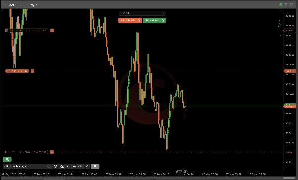 Immagine caricata di "PositionManager_noSourceCode"