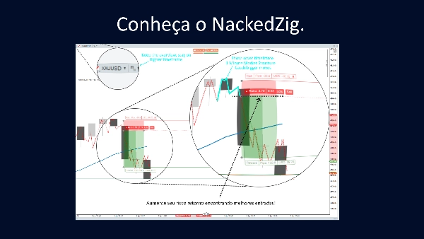 "SmartZig" uploaded image