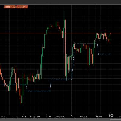 "POC Line lookback" logo