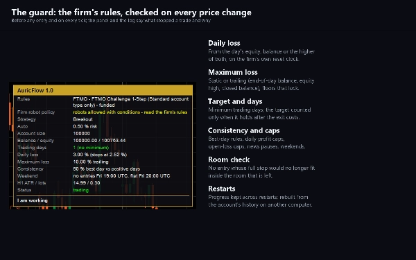 Trading product for AuricFlow cBot Stop Loss (SL) Manager Prop Firm Fit, image 8