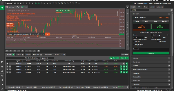 Trading product for Gold-Vanguard-Market-Signals-Pro Indicator Signal Breakout, image 5