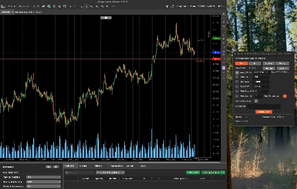 "Risk And Reward Management – Lite" uploaded image