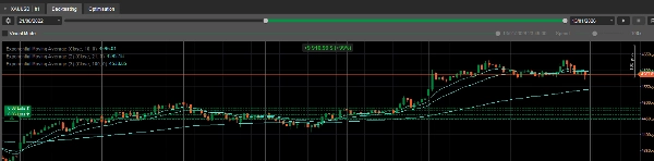 "GOLDEN TURTLE v3.0" uploaded image