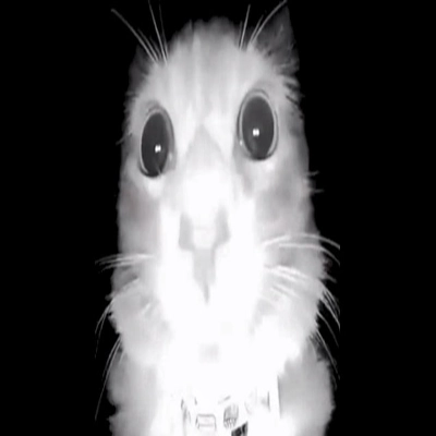 "blank_file_8" 标识