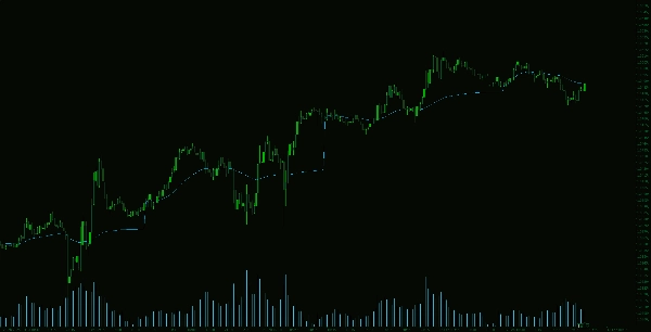 "VWAP Tokyo Open" uploaded image