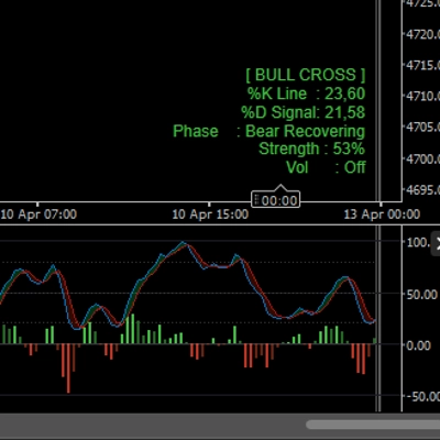 Logo "Stochastic_advanced"
