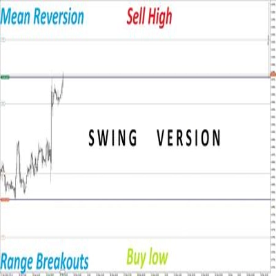 "DualSwingEdge" logo