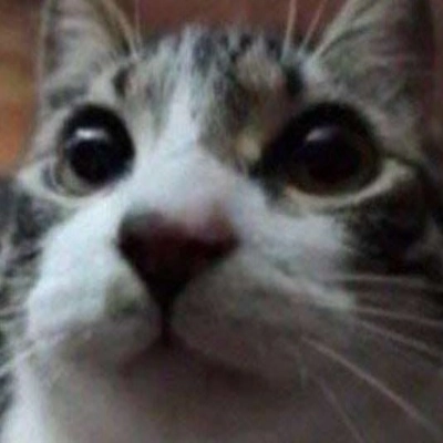 Logo „blank_file_9”