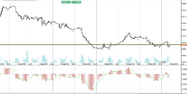 "RT Time Segmented Volume" yüklenen resmi