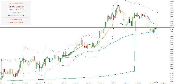 "VMM VWAP ELITE" uploaded image