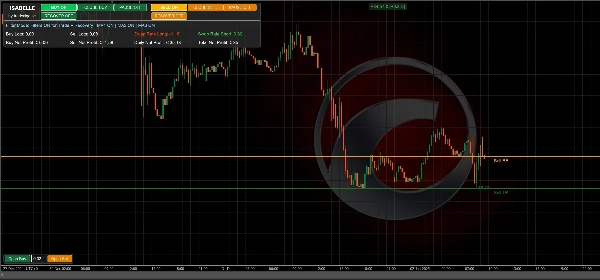 "Isabelle v6.0.0 - DEMO" uploaded image