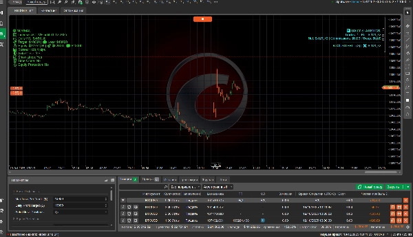"RISK SHIELD (ENG)" uploaded image