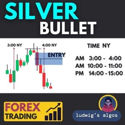 Logótipo de "Silver Bullet by LudwigICT"